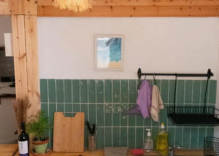 Cozy & Garden For People & Dogs 펜션