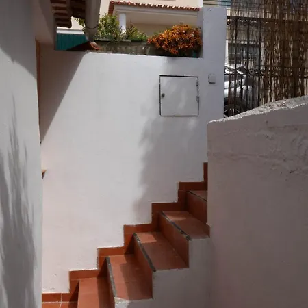 Cozy & Garden For People & Dogs 度假居