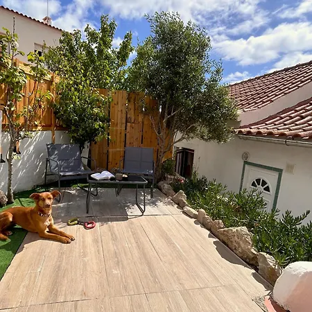 Cozy & Garden For People & Dogs 劳林哈